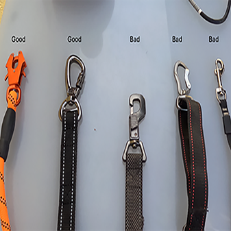 The Right Equipment – Leash- IMPORTANT!!!